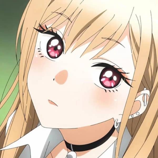 [仅下载]芝恩㱏-24.12月内容