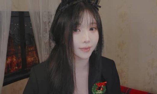 [yoonying]动物酒店(1) 扮演圣诞电影主角（字幕版本）